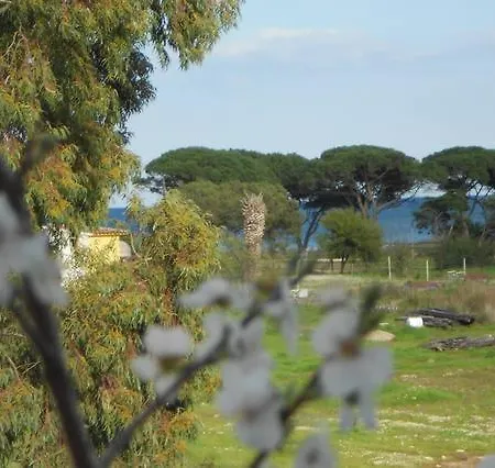 Trilo 350m Dalla Vista Mare Budoniaffitti Ferienhaus *