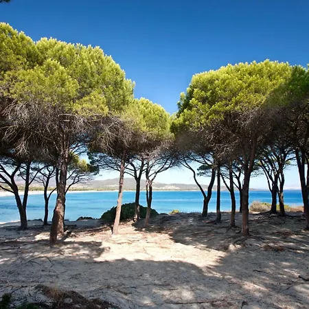 Trilo 350m Dalla Vista Mare Budoniaffitti * Budoni