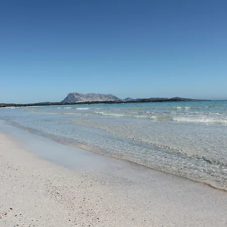 Ferienhaus Trilo 350m Dalla Vista Mare Budoniaffitti *