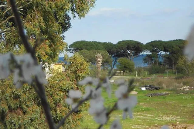 Trilo 350m Dalla Vista Mare Budoniaffitti Casa de Férias *