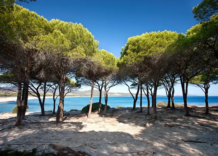 Trilo 350m Dalla Vista Mare Budoniaffitti * Budoni