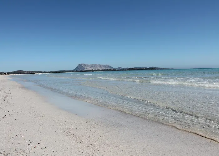 Casa de Férias Trilo 350m Dalla Vista Mare Budoniaffitti *